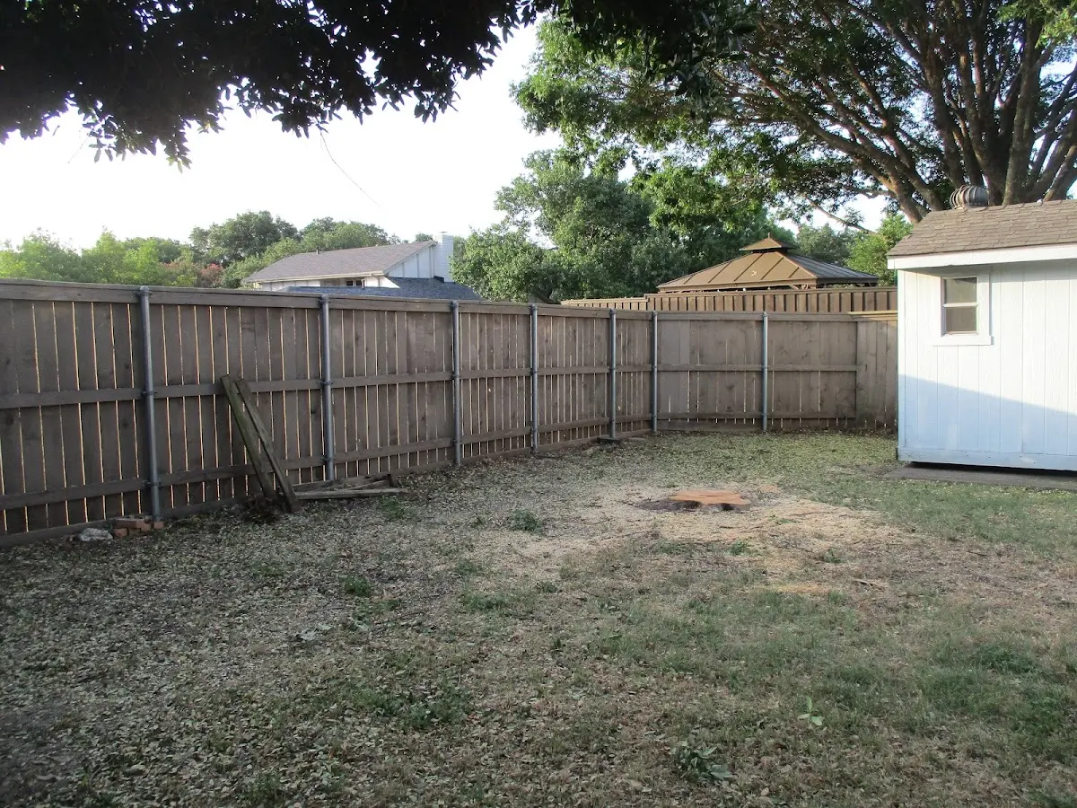 Cleared yard after professional tree removal in New Augusta